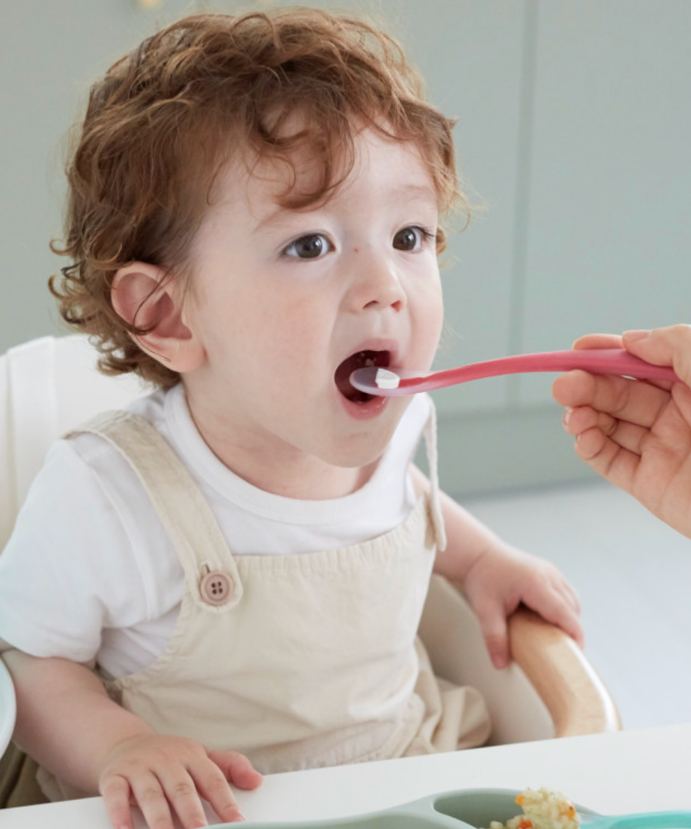 [SILIPOT] Bear & Giraffe Weaning Spoon + Case